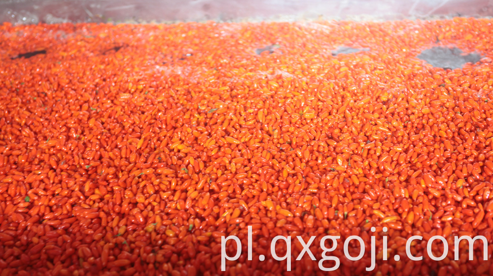 Red Organic Goji Berry